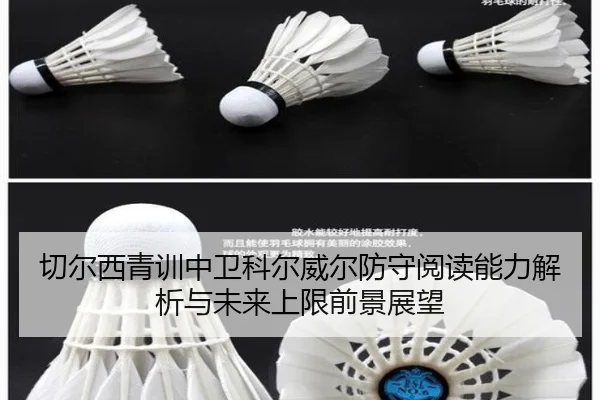 切尔西青训中卫科尔威尔防守阅读能力解析与未来上限前景展望