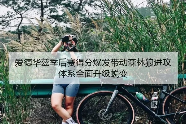 爱德华兹季后赛得分爆发带动森林狼进攻体系全面升级蜕变